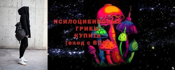 стафф Армянск