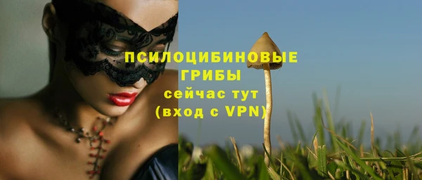стафф Армянск