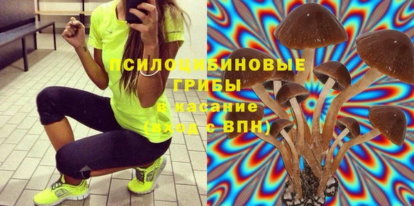 стафф Армянск