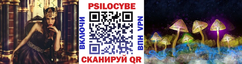 Псилоцибиновые грибы Psilocybe Городовиковск